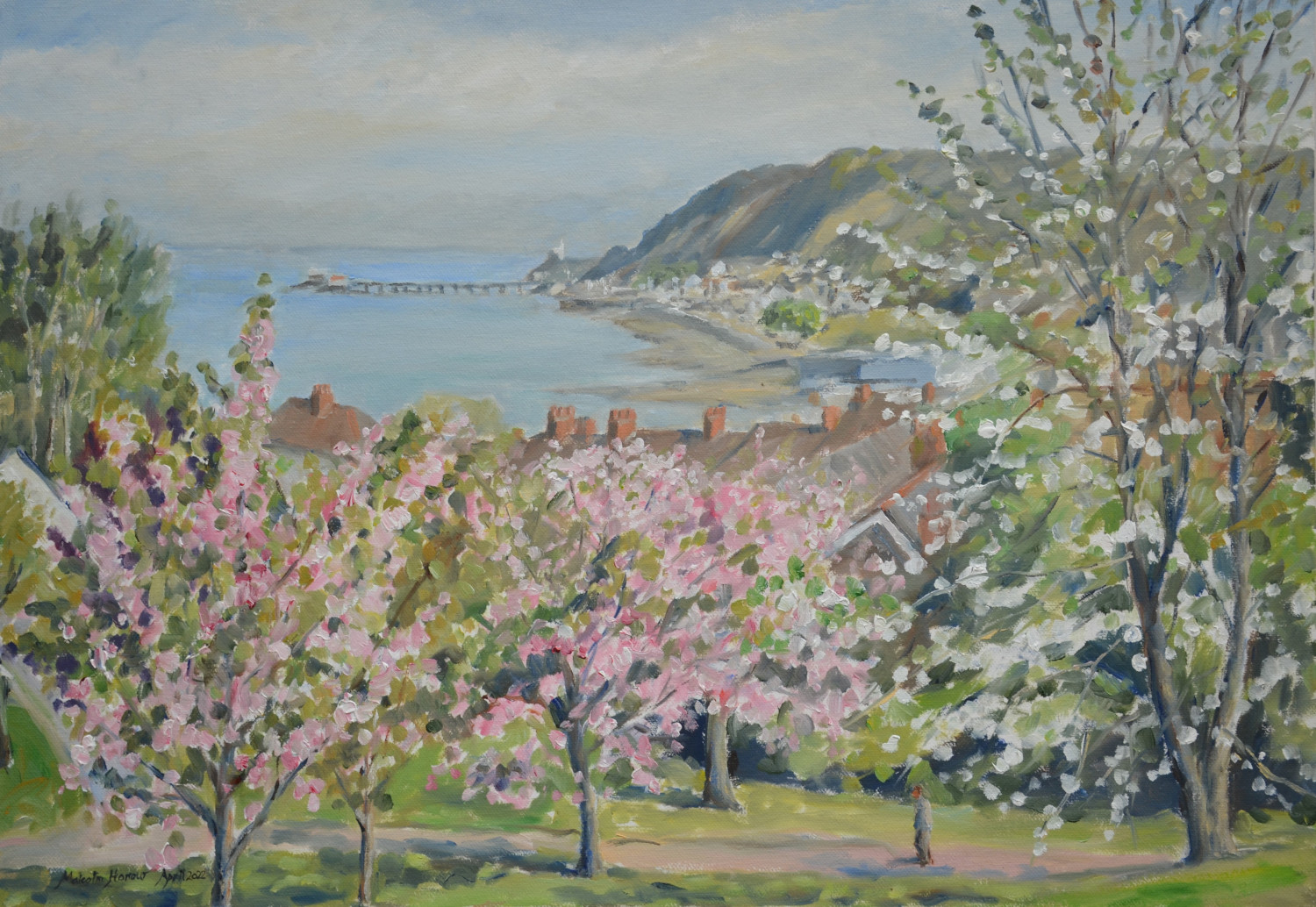 Blossom in Oystermouth