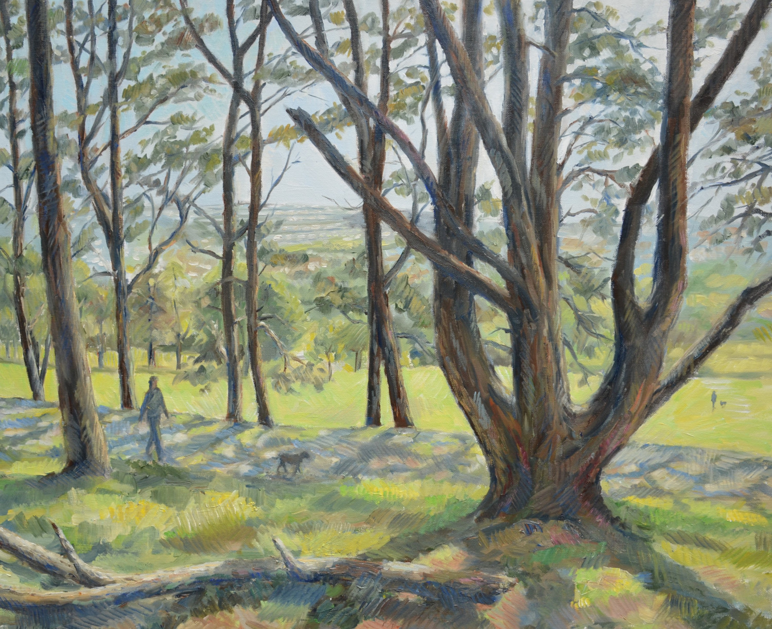 Llewellyn Park 60x50cm.