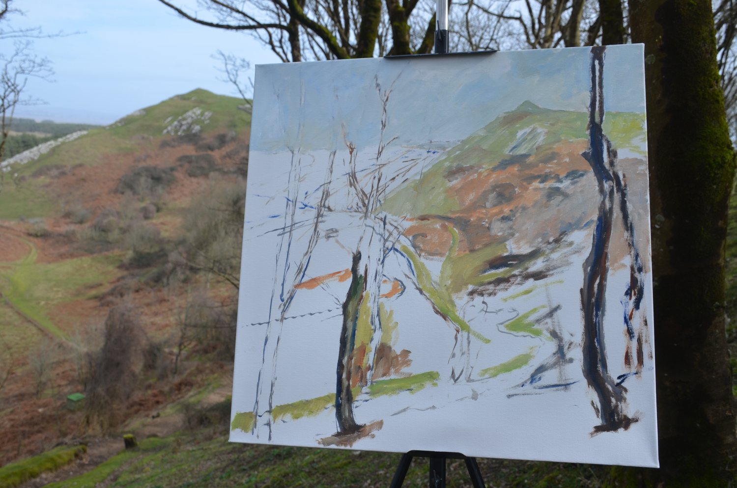 Whiteford Point in progress
